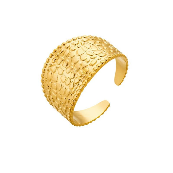 Open Design Wide Surface Printing Punk Retro Simple Titanium Steel Index Finger Ring With Geometric Pattern And Electroplating
