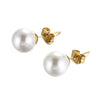 Pearl Earrings Titanium Steel Geometric Light Luxury Electroplating