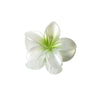 Pearl Flower Hair Clip Baking Varnish Women's Plant Flowers Style