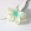 Pearl Gradient Egg Flower Grab Clip Hairpin Baking Paint Fashion Women's Accessories