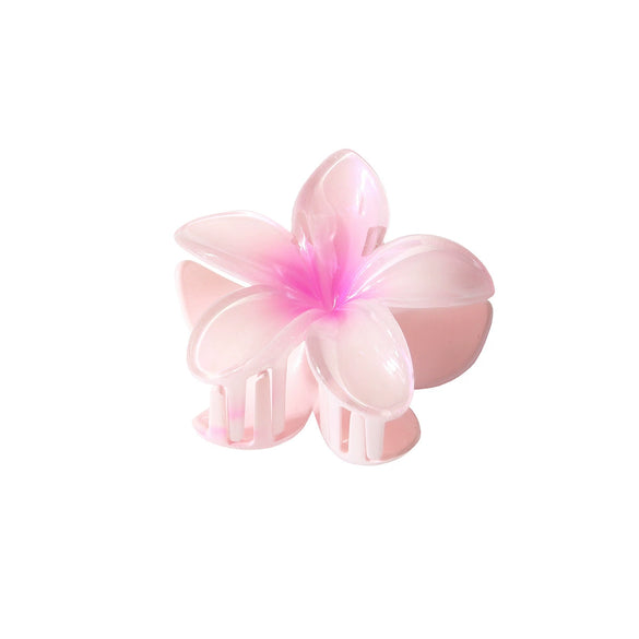 Pearl Gradient Egg Flower Grab Clip Hairpin Baking Paint Fashion Women's Accessories