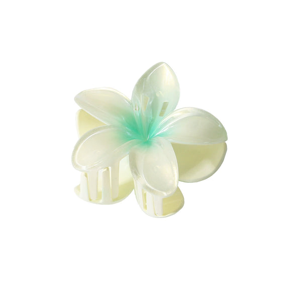 Pearl Gradient Egg Flower Grab Clip Hairpin Baking Paint Fashion Women's Accessories