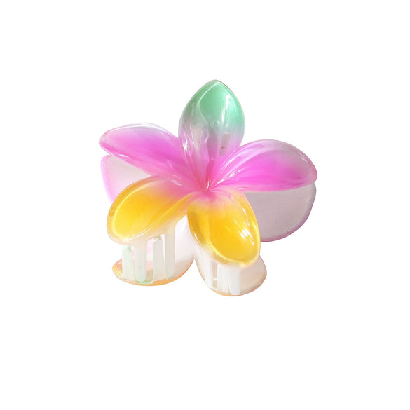 Pearl Gradient Egg Flower Grab Clip Hairpin Baking Paint Fashion Women's Accessories