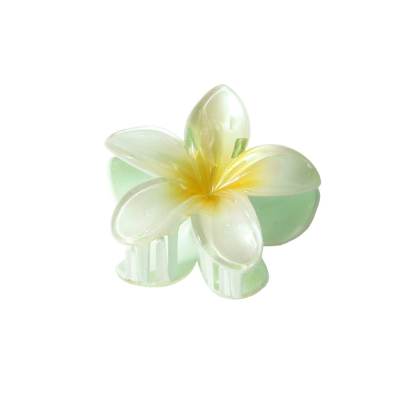 Pearl Gradient Egg Flower Grab Clip Hairpin Baking Paint Fashion Women's Accessories