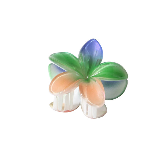 Pearl Gradient Egg Flower Grab Clip Hairpin Baking Paint Fashion Women's Accessories