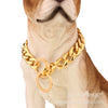 Pet Chain Collar Titanium Steel Sixsided Grinding Chain Polished Vacuum Plating Pit Bull Style
