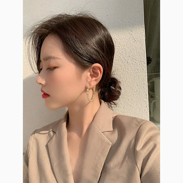 Plain Hoop Earrings With Silver Needle Metal Light Luxury Geometric Electroplated For Women