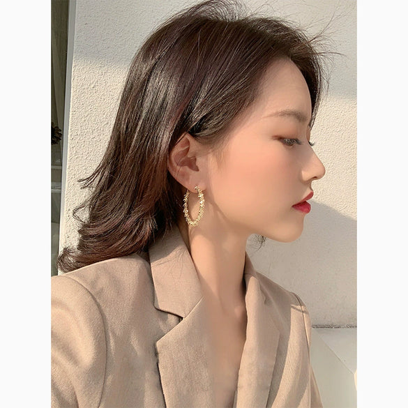 Plain Hoop Earrings With Silver Needle Metal Light Luxury Geometric Electroplated For Women