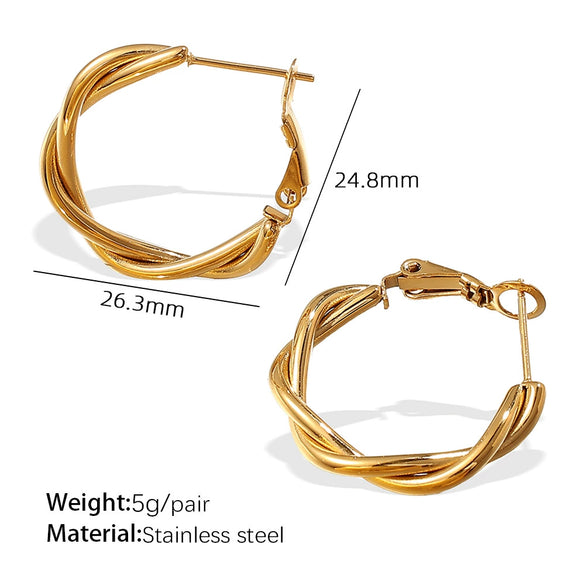Plain 316L Stainless Steel Electroplated Women's Earrings