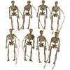Plastic Halloween Skeleton Decoration Set Fun Human Skeleton Props For Trickortreat Activities And Seasonal Decor