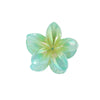 Plastic Plumeria Sweet Flower Baking Paint Hair Shark Clip Women's Hair Accessories