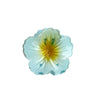 Plastic Resin Egg Flower Baking Paint Fresh Style Women's Hair Clip