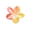 Plastic Resin Gradient Colorful Egg Flower Baking Paint Women's Hair Clip Headwear Accessories