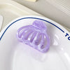 Plastic Resin Simple Geometric Baking Paint Women's Pumpkin Semiround Hair Clip Hair Accessories