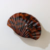 Plastic Scallop Hair Clip Light Luxury Style Paint Process Women's Hair Accessories