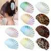 Plastic Scallop Hair Clip Light Luxury Style Paint Process Women's Hair Accessories