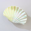 Plastic Scallop Hair Clip Light Luxury Style Paint Process Women's Hair Accessories