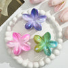 Plumeria Flower Hair Clip Set Women's Simple Style Painted Hair Accessories