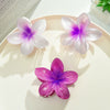 Plumeria Hair Clip Set Plastic Little Fresh Style Baking Paint Women's Hair Accessories
