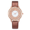 Popular Gypsophila Diamond Fashion Women's Alloy And Imitation Leather Quartz Watch With Round Dial