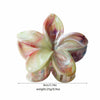 Ps Material Flower Style Baking Paint Grip Hair Clip
