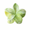 Ps Material Flower Style Baking Paint Grip Hair Clip