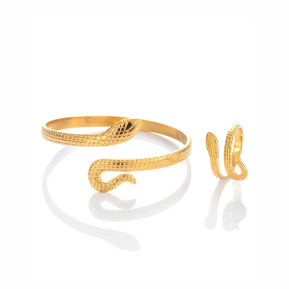 Punk Snake Style Stainless Steel And Titanium Steel Opening Adjustable Jewelry With Electroplating