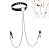 Punk Style Collar Necklace With Pu Leather Heart Pattern And Stainless Steel Snake Bone Chain Electroplating Treatment