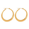 Retro Geometric Titanium Steel Electroplated Earrings For Women