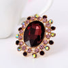 Retro Luxury Alloy Adjustable Open Ring With Crystal Glass Diamond Flower Design For Couples