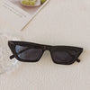 Retro Small Frame Cat's Eye Sunglasses With Pc Frame And Resin Lens