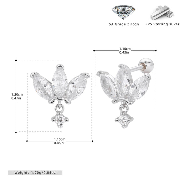S925 Sterling Silver Crown Zirconium Electroplated Fashionable Women's Earrings