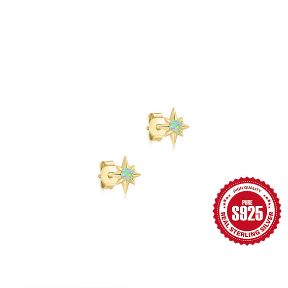 S925 Sterling Silver Distinctive Octagon Earrings With Inlaid Zircon And Geometric Pattern For Women