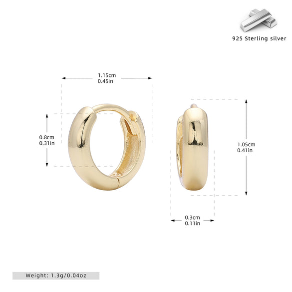 S925 Sterling Silver Earrings Electroplated Women's Jewelry