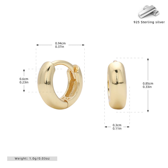S925 Sterling Silver Earrings Electroplated Women's Jewelry