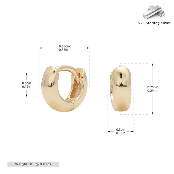 S925 Sterling Silver Earrings Electroplated Women's Jewelry