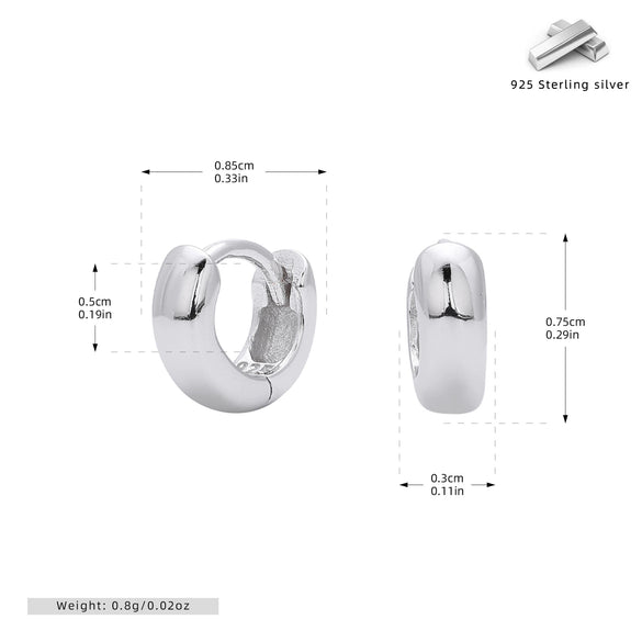 S925 Sterling Silver Earrings Electroplated Women's Jewelry