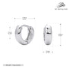 S925 Sterling Silver Earrings Electroplated Women's Jewelry