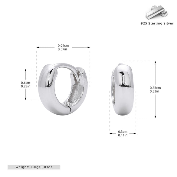 S925 Sterling Silver Earrings Electroplated Women's Jewelry