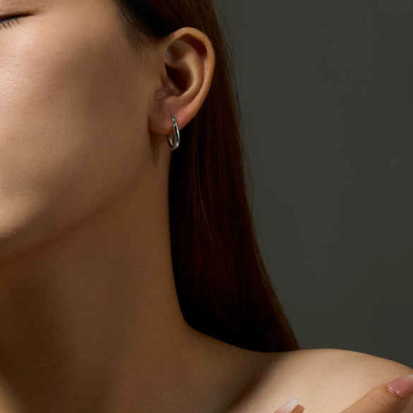 S925 Sterling Silver Electroplated Platinum 18K Gold Zircon Inlaid Fashionable Earring