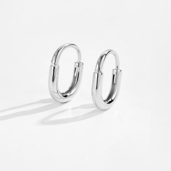 S925 Sterling Silver Electroplated Platinum 18K Gold Zircon Inlaid Fashionable Earring