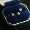 S925 Sterling Silver Fivepointed Star Women's Earrings Simple Style With Zircon