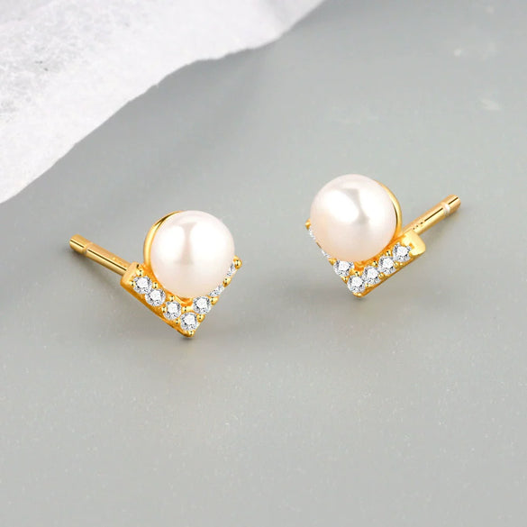 S925 Sterling Silver Geometric Electroplated Women's Earrings Jewelry