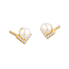 S925 Sterling Silver Geometric Electroplated Women's Earrings Jewelry