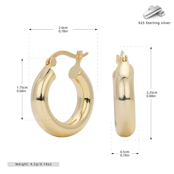 S925 Sterling Silver Geometric Hoop Earrings For Women Electroplated Punk Style