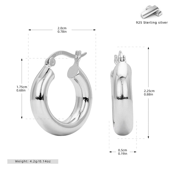 S925 Sterling Silver Geometric Hoop Earrings For Women Electroplated Punk Style