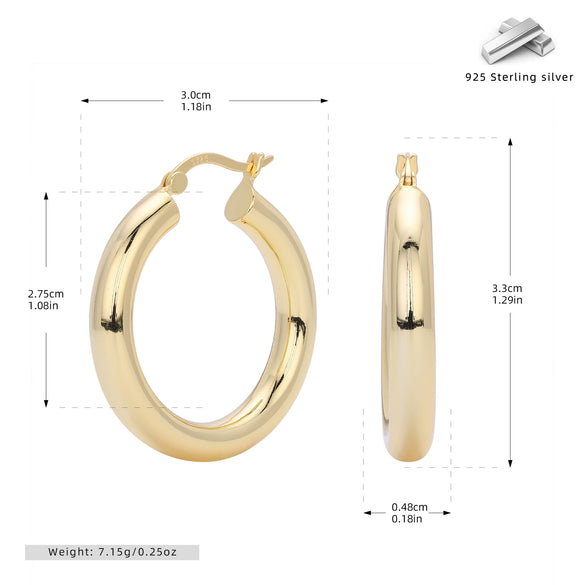 S925 Sterling Silver Geometric Hoop Earrings For Women Electroplated Punk Style