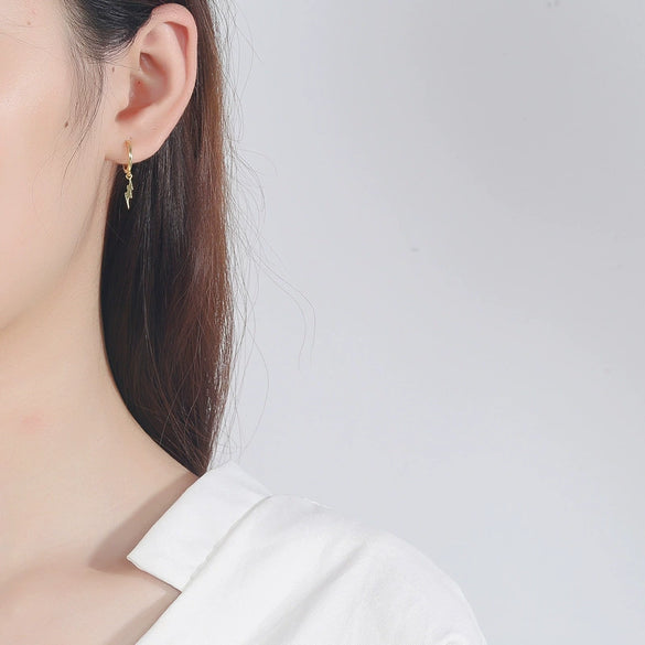 S925 Sterling Silver Geometric Lightning Earrings Electroplated Light Luxury Fashion Ear Jewelry