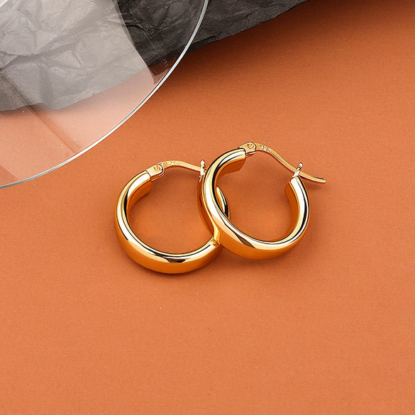 S925 Sterling Silver Geometric Torus Circle Earrings