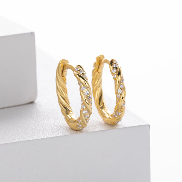 S925 Sterling Silver Geometric Twist Round Women's Earrings With Electroplating